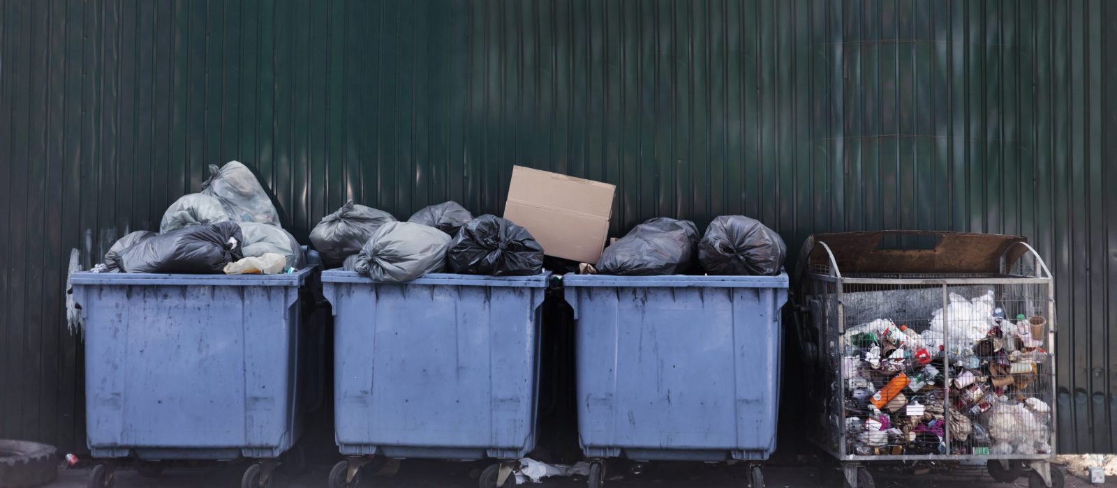 Waste Services
